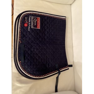 tapis champion de france 2011