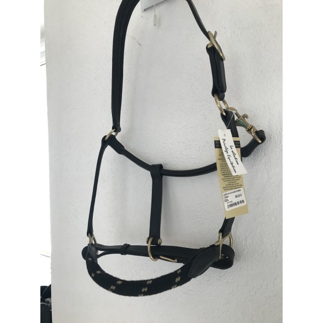 Licol en cuir taille cheval
