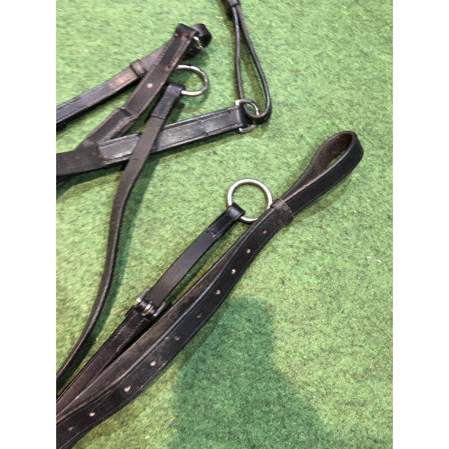 Collier de chasse taille cob
