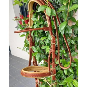 Bridon / Side-pull convertible