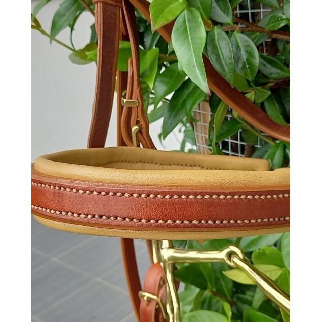 Bridon / Side-pull convertible