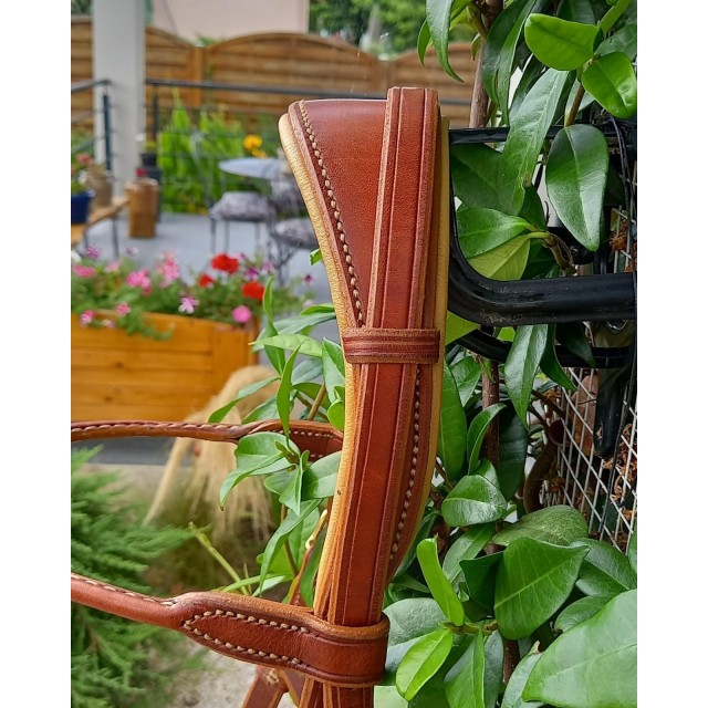 Bridon / Side-pull convertible