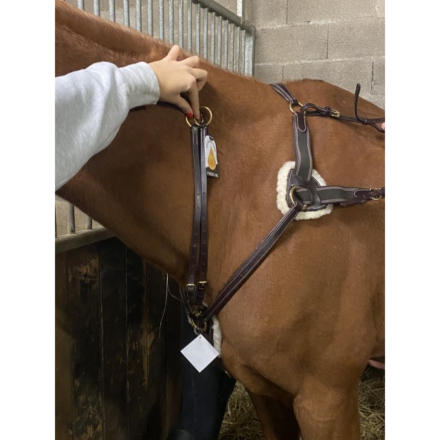 Martingale