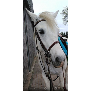 Bridon time rider combinaison