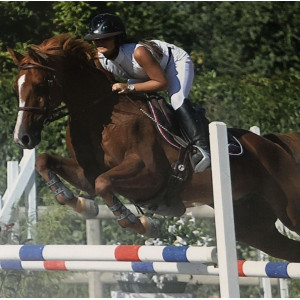 Pantalon horse pilot M