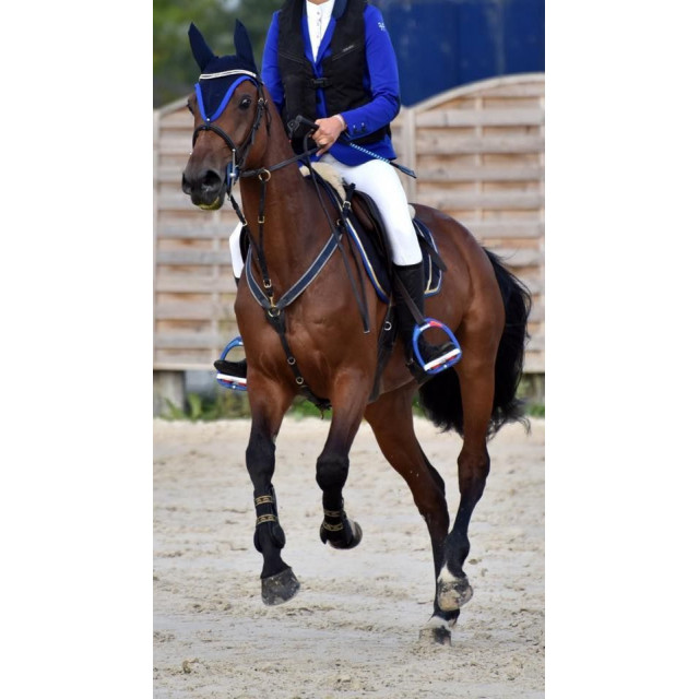 Veste Horse Pilot T38 bleu roi