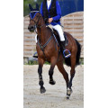 Veste Horse Pilot T38 bleu roi