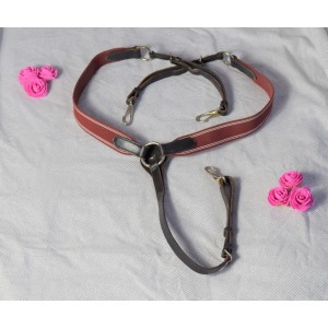Collier de chasse bordeaux