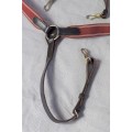 Collier de chasse bordeaux