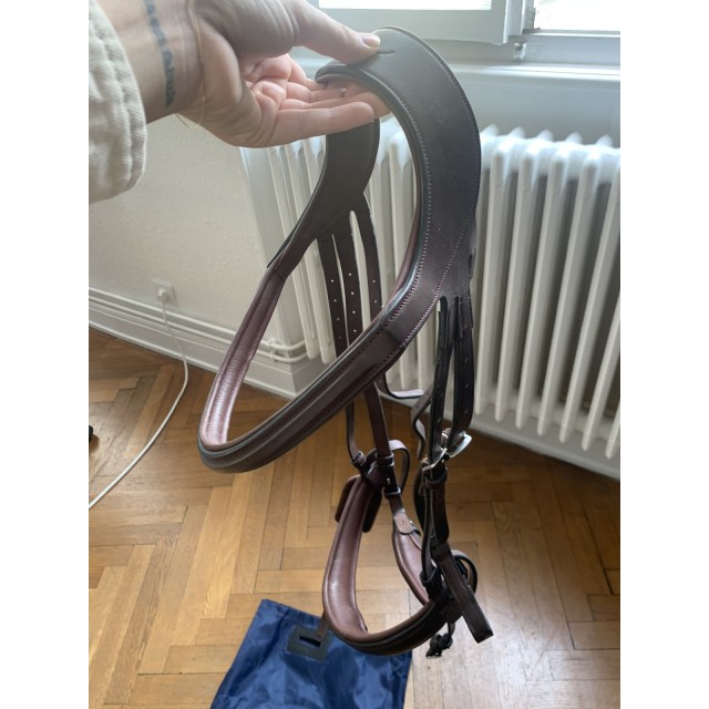 Filet Dyon anatomique