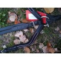 Collier de chasse