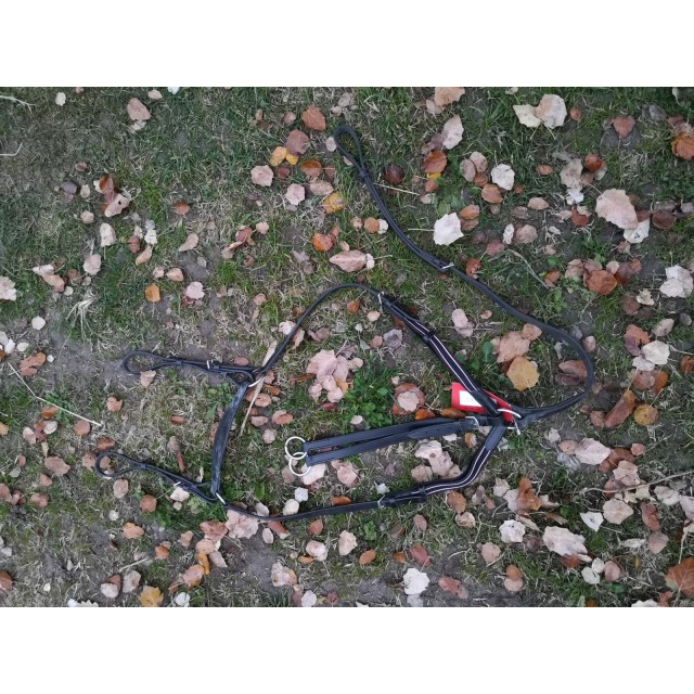Collier de chasse