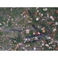 Collier de chasse