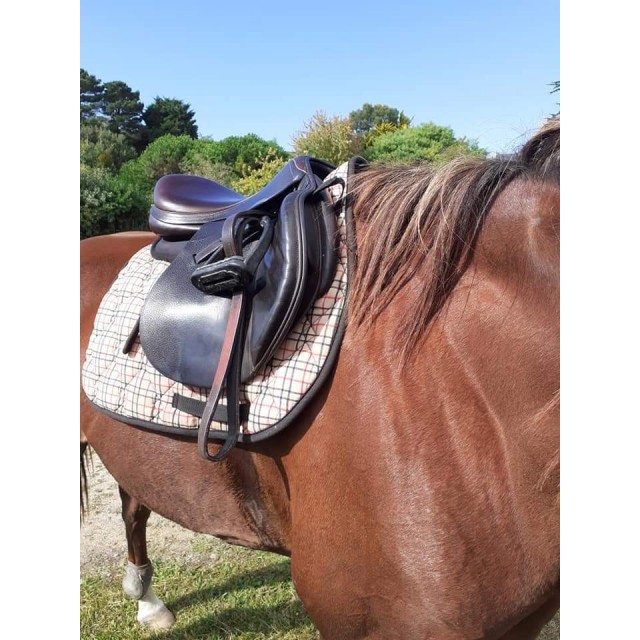 Selle equipe