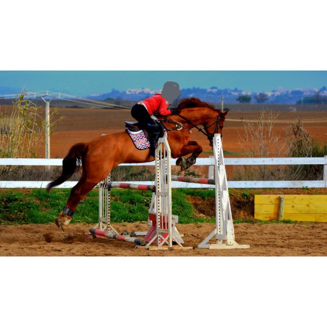 Tapis de selle
