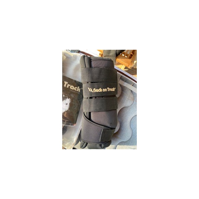 Leg Braces Royal Back on track