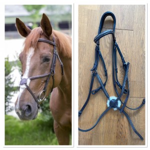 Bridon cuir muserolle croisée