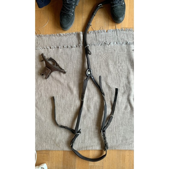 Collier de chasse Godignon Wednesday Havane taille cob