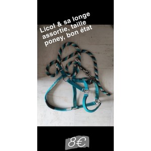 Licol + longe poney