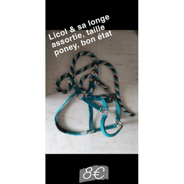 Licol + longe poney