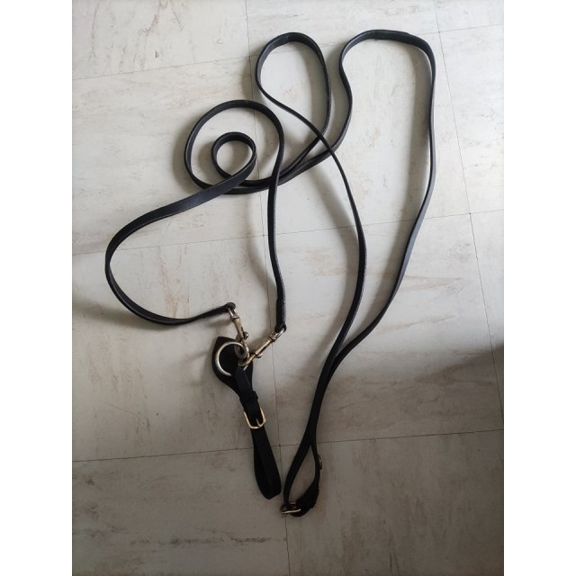 Rênes allemandes poney