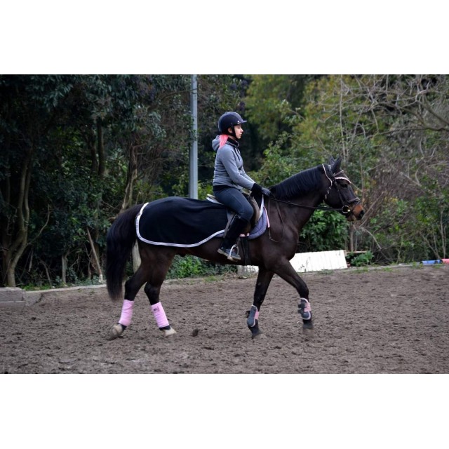 Bonnet equitheme