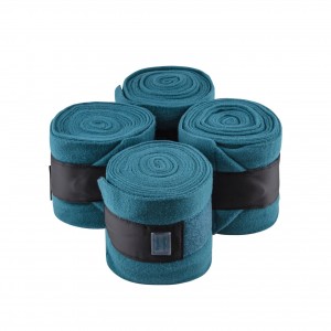 Bande polaire Equito Teal