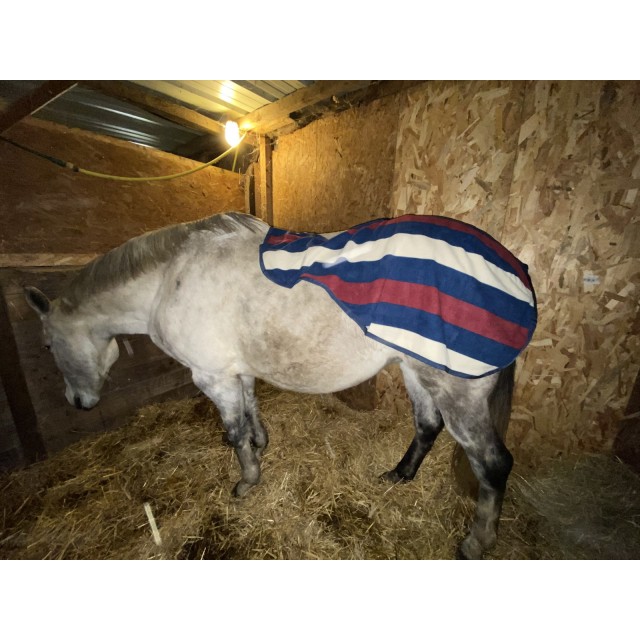 Couvre rein equi thème taille 125