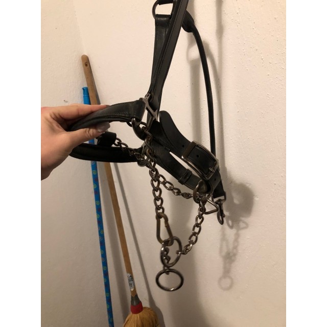 Licol avec gourmette