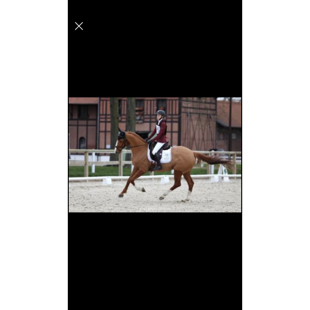 Vends selle de dressage Meyer