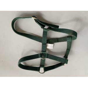 Licol poney vert sapin