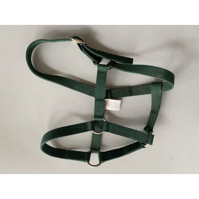 Licol poney vert sapin