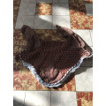 Bonnet