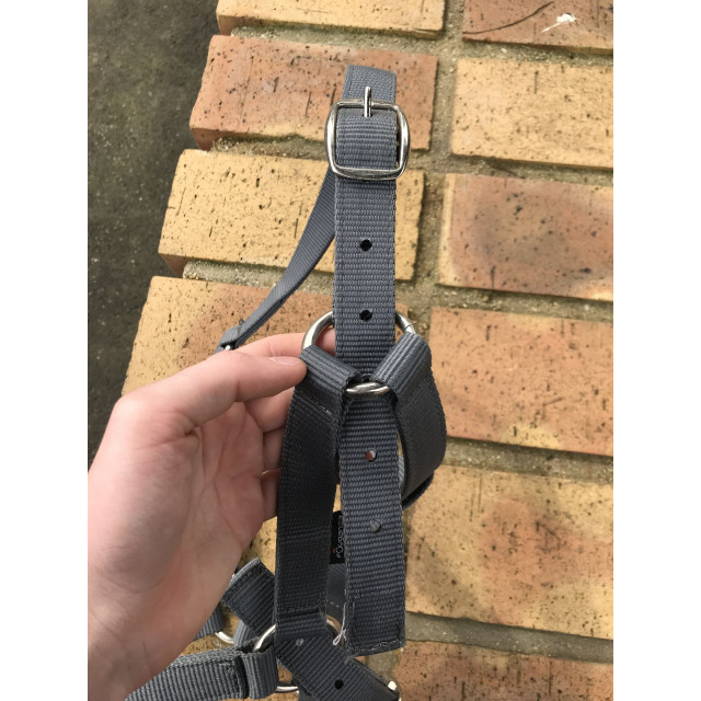 Licol gris fouganza taille Cob