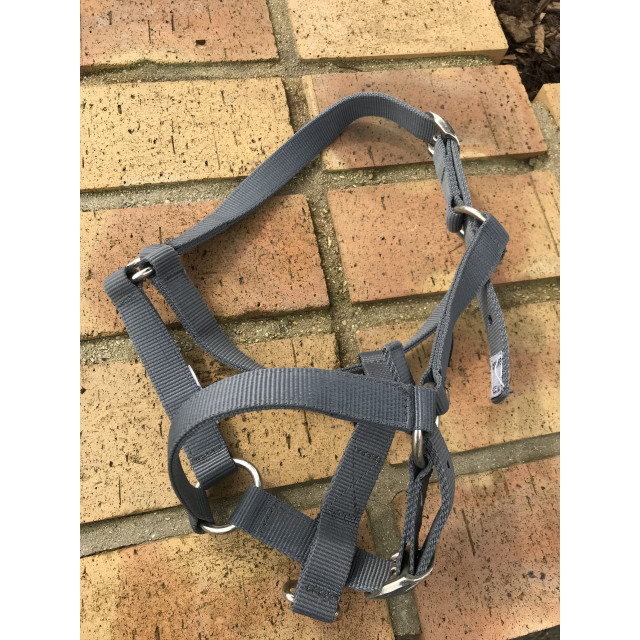 Licol gris fouganza taille Cob