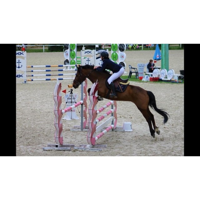 Veste de concours HAGG