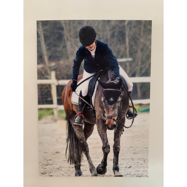 veste Pikeur bleu marine