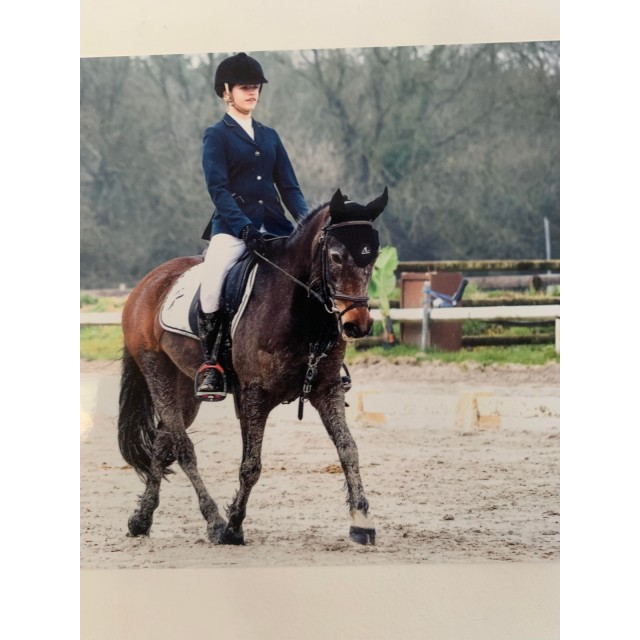 veste Pikeur bleu marine