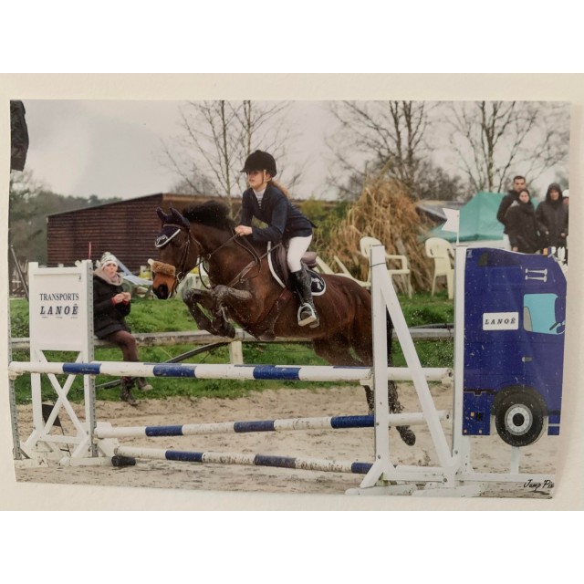 veste Pikeur bleu marine