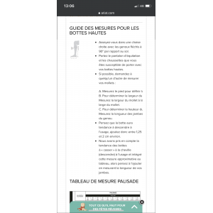 Bottes palisade Ariat