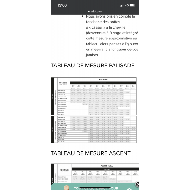 Bottes palisade Ariat