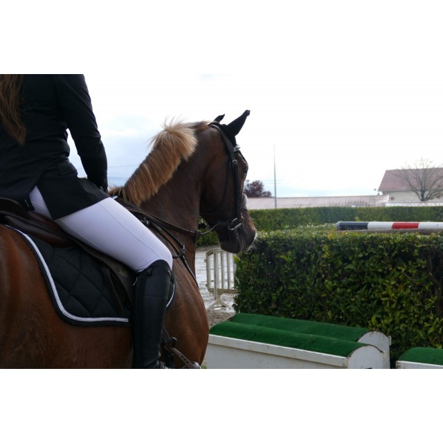 Collier de chasse privilège équitation