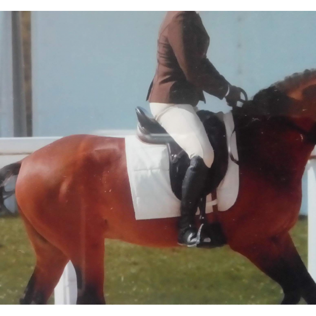 Veste concours Esperado Marron M