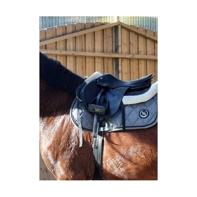 Selle brunet pineau