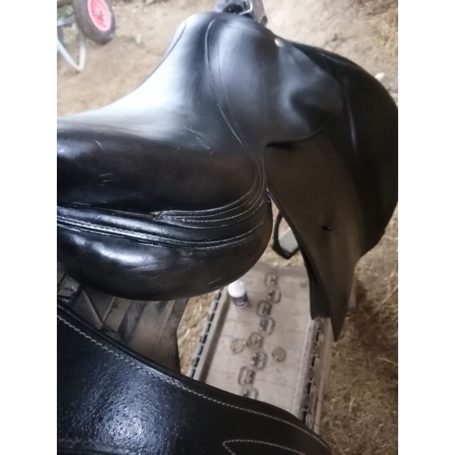 Selle brunet pineau
