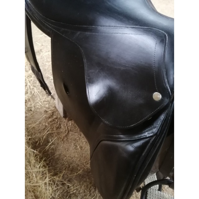 Selle brunet pineau