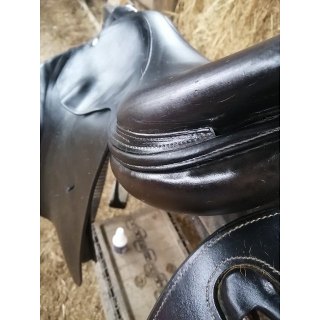 Selle brunet pineau