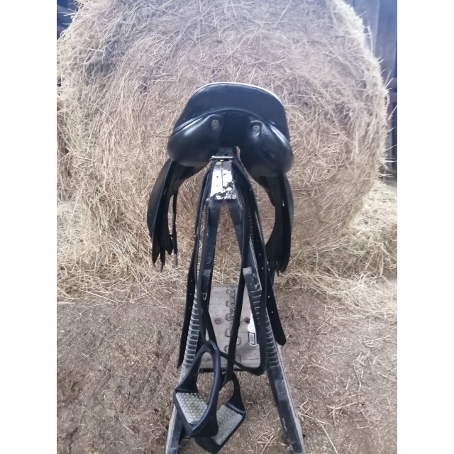 Selle brunet pineau