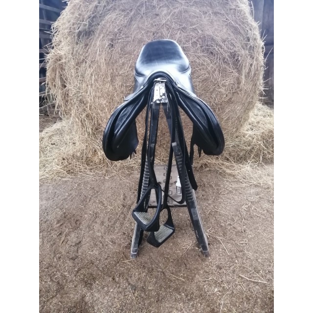 Selle brunet pineau