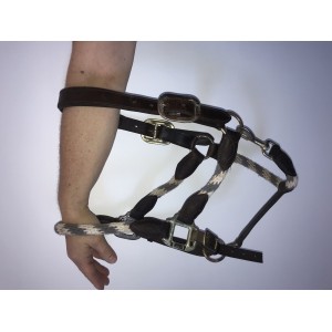 licol en cuir marron et corde bleu/blanche